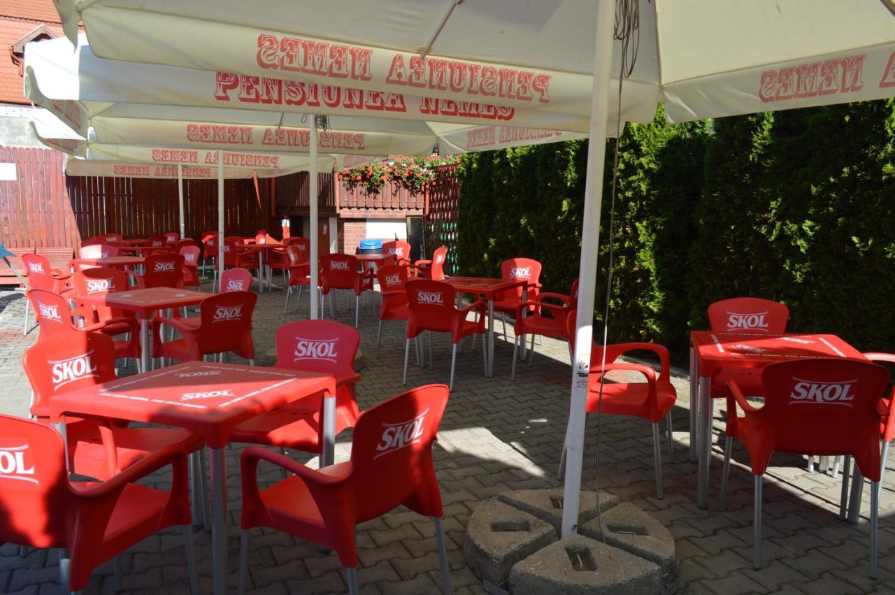 Pensiunea Nemes Panzio Acatari Luaran gambar