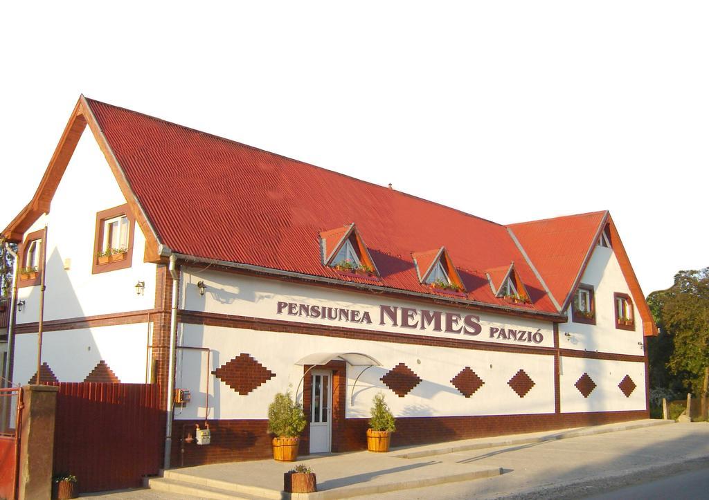 Pensiunea Nemes Panzio Acatari Luaran gambar